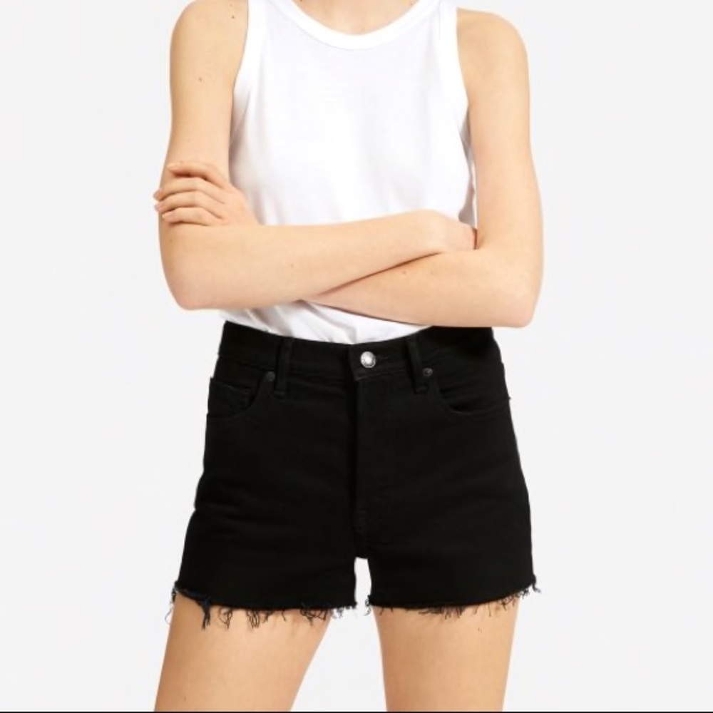 Everlane Cheeky Denim Shorts